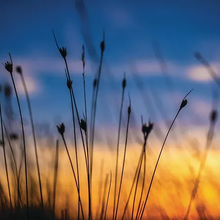 Cozy In Dom wakacyjny *